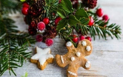 Recipe: Dr. Jiwani’s Paleo Vegan Grain-Free Gingerbread Cookies (Low Carb Gluten-Free Dairy-Free Soy-Free for Paleo Keto & Candida Diets)