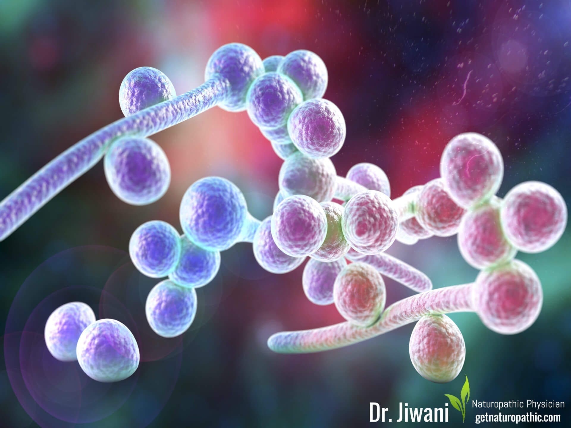 Yeast Infection Candidiasis Sugar the Sweet Poison: The Alarming Ways Sugar Damages Your Body & Brain* | Dr. Jiwani's Naturopathic Nuggets Blog