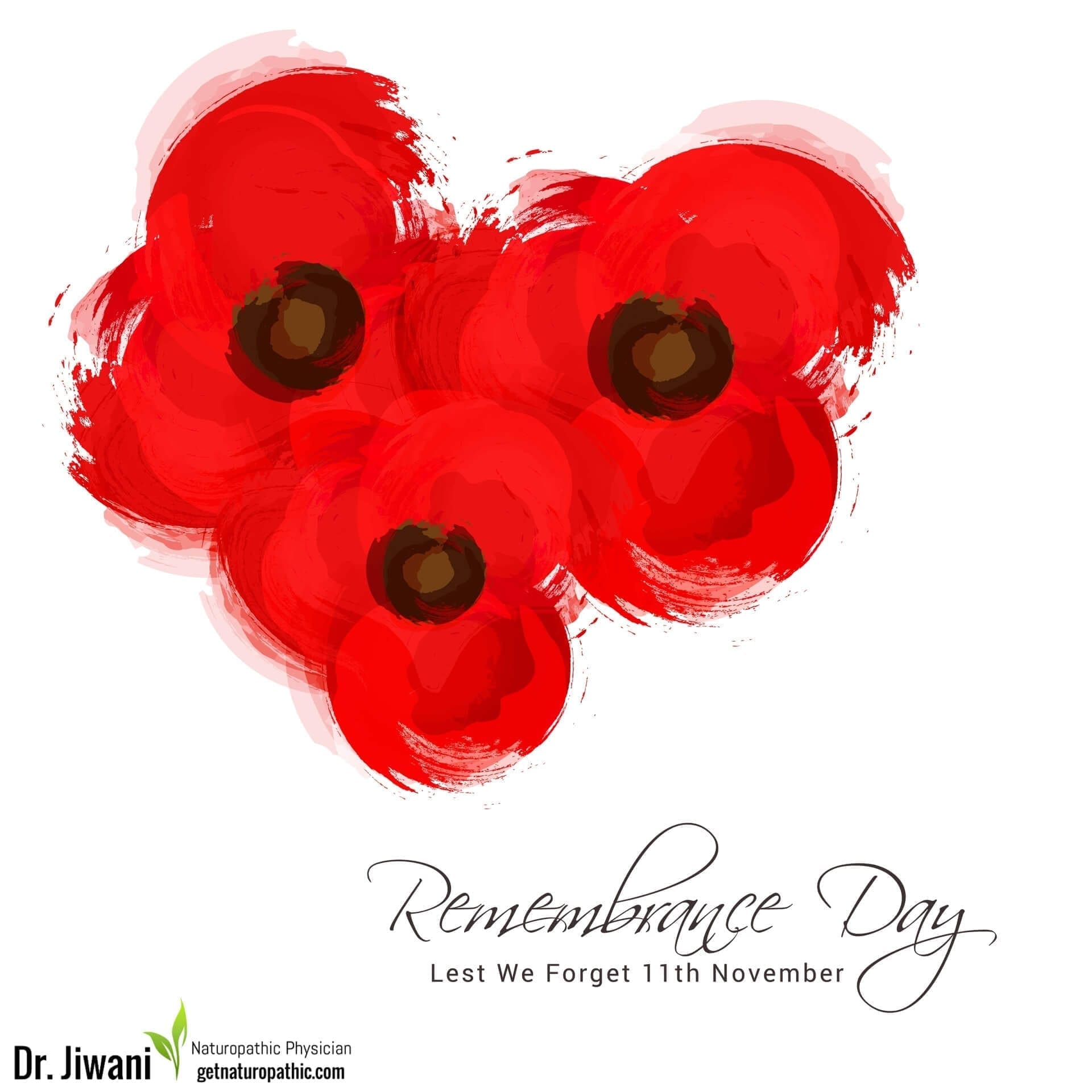 Remembrance Day: Lest We Forget | Dr. Jiwani's Naturopathic Nuggets Blog