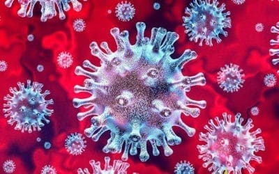 Coronavirus: Symptoms, Prevention & Treatment of Novel Coronavirus 2019-nCoV